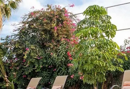 Rent Private 061 Villa
